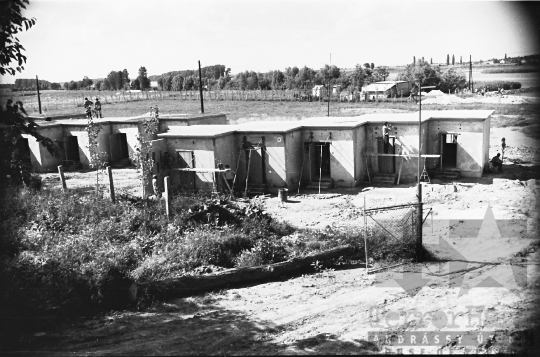 THM-BJ-00007 - Fadd-Dombori, South Hungary, 1965 