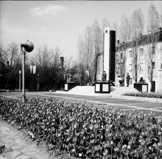 THM-BJ-00285 - Szekszárd, South Hungary, 1973