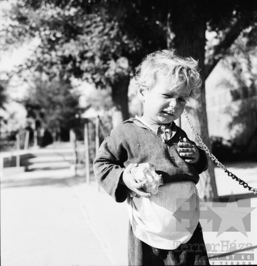 THM-BJ-00302 - Gyulaj, South Hungary, 1965