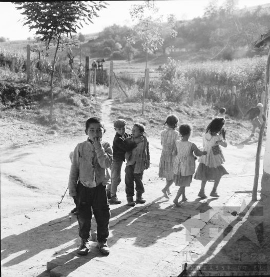 THM-BJ-00304 - Gyulaj, South Hungary, 1965