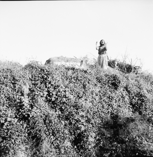 THM-BJ-00307 - Gyulaj, South Hungary, 1965