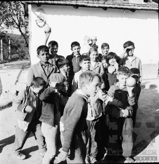 THM-BJ-00319 - Gyulaj, South Hungary, 1965