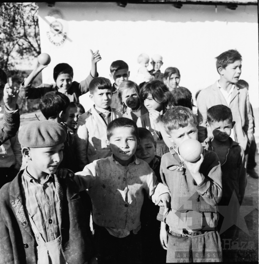 THM-BJ-00320 - Gyulaj, South Hungary, 1965