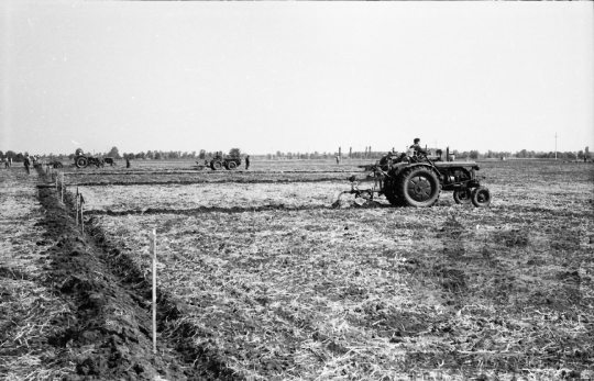 THM-BJ-00407 - Őcsény, South Hungary, 1966