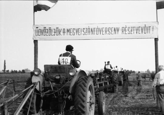 THM-BJ-00408 - Őcsény, South Hungary, 1966