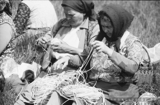 THM-BJ-00732 - Báta, South Hungary, 1985