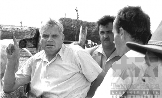 THM-BJ-00751 - Tamási, South Hungary, 1962