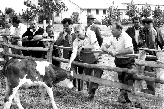 THM-BJ-00754 - Tamási, South Hungary, 1962