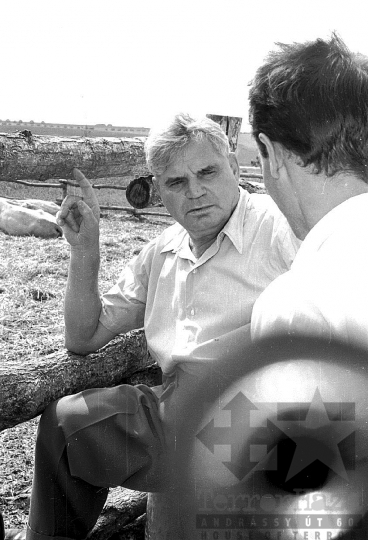 THM-BJ-00759 - Tamási, South Hungary, 1962