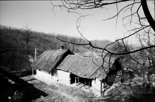 THM-BJ-00838 - Miszla, South Hungary, 1981