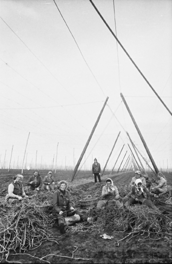 THM-BJ-00900 - Fornád, South Hungary, 1983