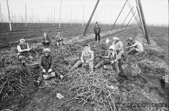 THM-BJ-00901 - Fornád, South Hungary, 1983