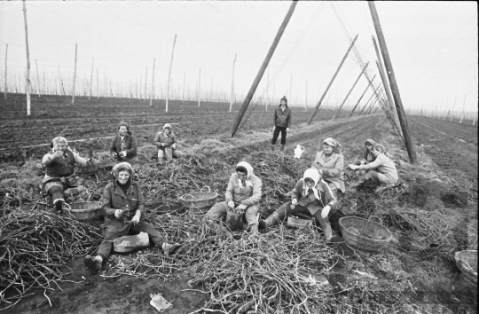 THM-BJ-00901a - Fornád, South Hungary, 1983