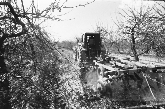 THM-BJ-00904 - Báta, South Hungary, 1983