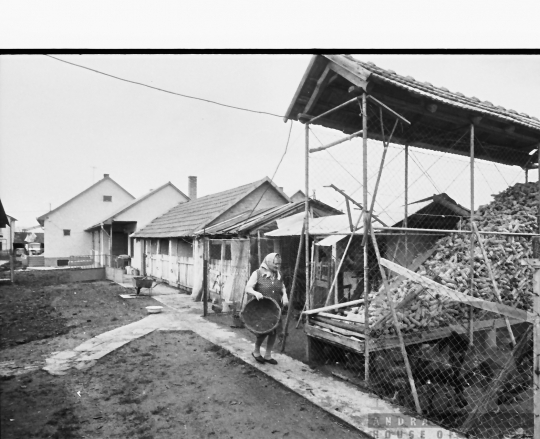 THM-BJ-00909 - Tolna county, South Hungary, Hungary, 1983