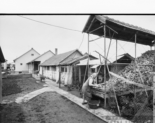 THM-BJ-00909a - Tolna county, South Hungary, Hungary, 1983