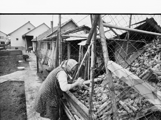 THM-BJ-00910 - Tolna county, South Hungary, Hungary, 1983