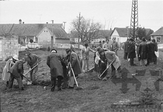 THM-BJ-00956 - Dunaszentgyörgy, South Hungary, 1984