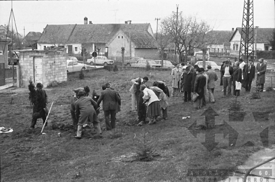 THM-BJ-00957 - Dunaszentgyörgy, South Hungary, 1984