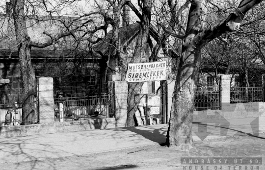 THM-BJ-01019a - Szekszárd, South Hungary, 1977