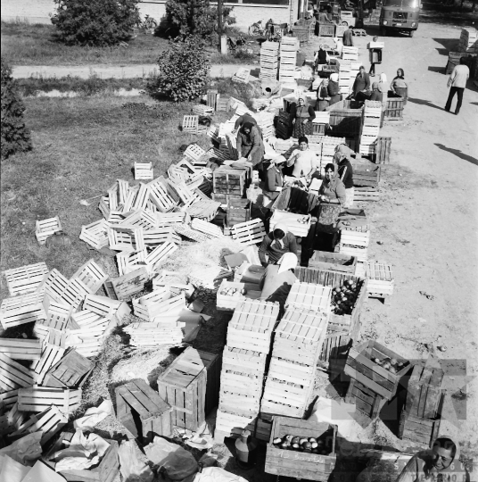 THM-BJ-01023 - Bogyiszló, South Hungary, 1978 