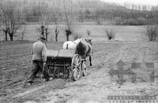 THM-BJ-01033 - Cikó, South Hungary, 1962