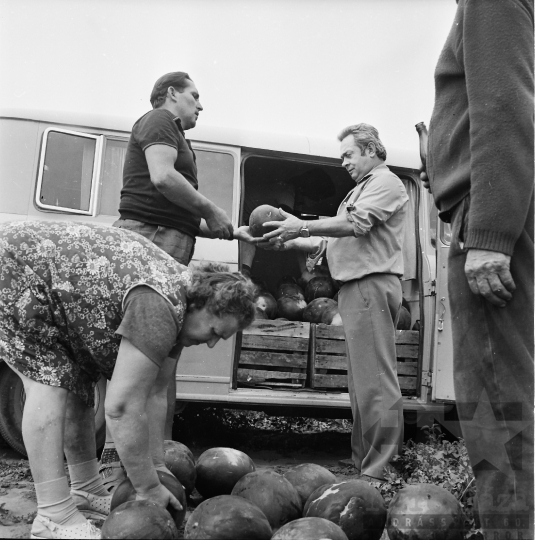 THM-BJ-01043 - Kajdacs, South Hungary, 1977