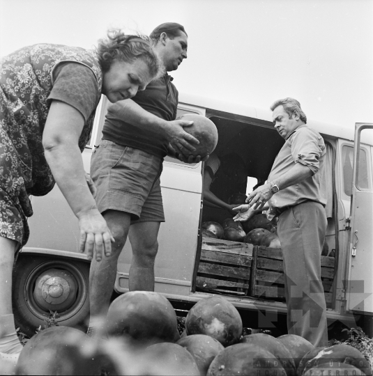 THM-BJ-01044 - Kajdacs, South Hungary, 1977