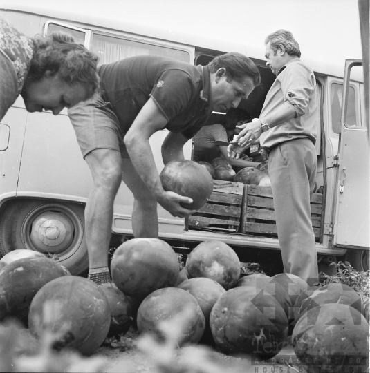 THM-BJ-01045 - Kajdacs, South Hungary, 1977