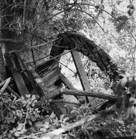 THM-BJ-01062 - Értény, South Hungary, 1977