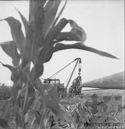 THM-BJ-01072 - Dombóvár, South Hungary, 1976 