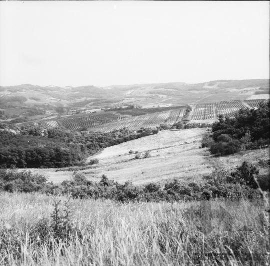 THM-BJ-01093 - Szekszárd, South Hungary, 1973