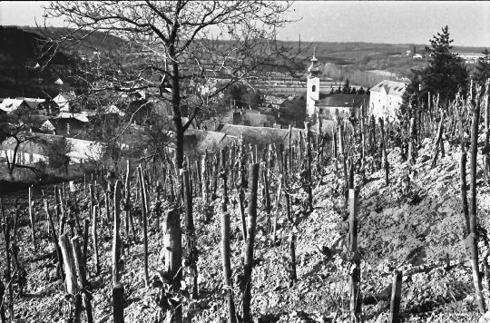 THM-BJ-01179 - Ozora, South Hungary, 1977