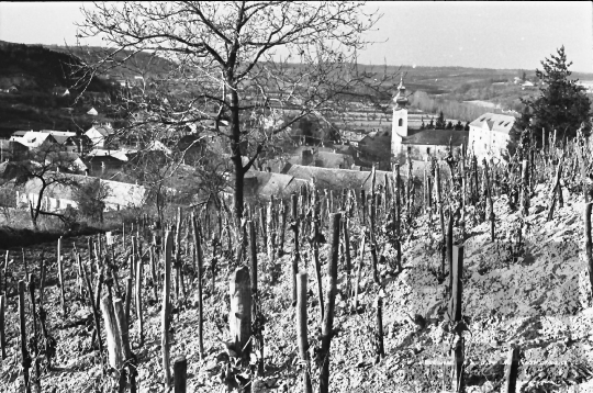 THM-BJ-01179a - Ozora, South Hungary, 1977