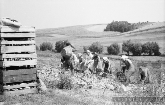 THM-BJ-01187 - Paks, South Hungary, 1968