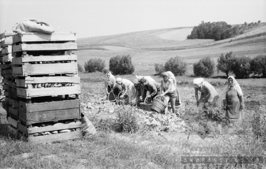 THM-BJ-01190 - Paks, South Hungary, 1968