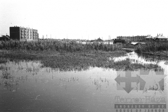 THM-BJ-01392 - Szekszárd, South Hungary, 1962