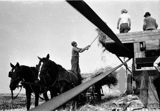 THM-BJ-01397 - Kéty, South Hungary, 1965