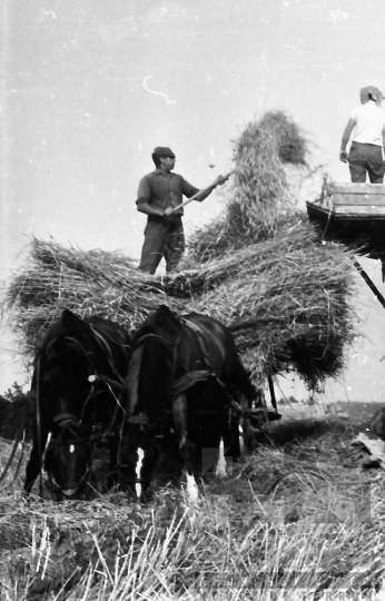 THM-BJ-01398 - Kéty, South Hungary, 1965