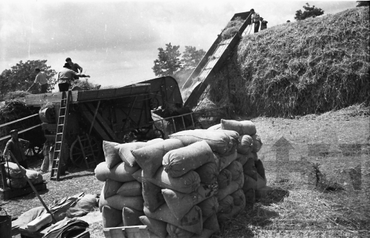 THM-BJ-01403 - Madocsa, South Hungary, 1968