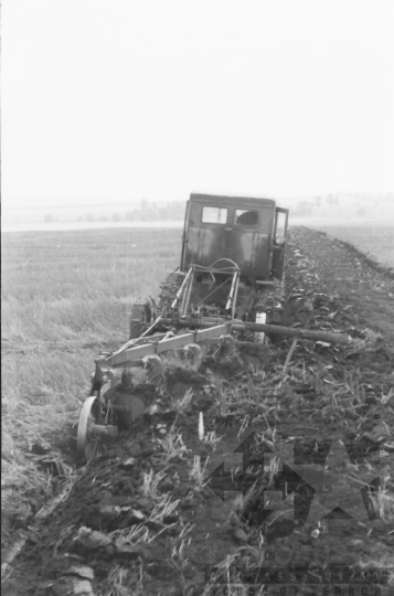 THM-BJ-01444 - Tamási, South Hungary, 1965