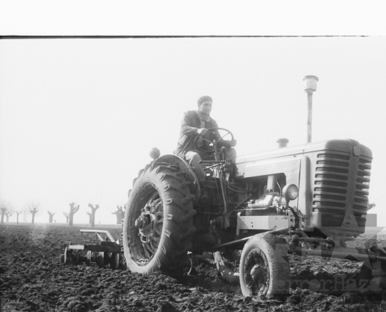 THM-BJ-01450 - Tamási, South Hungary, 1965