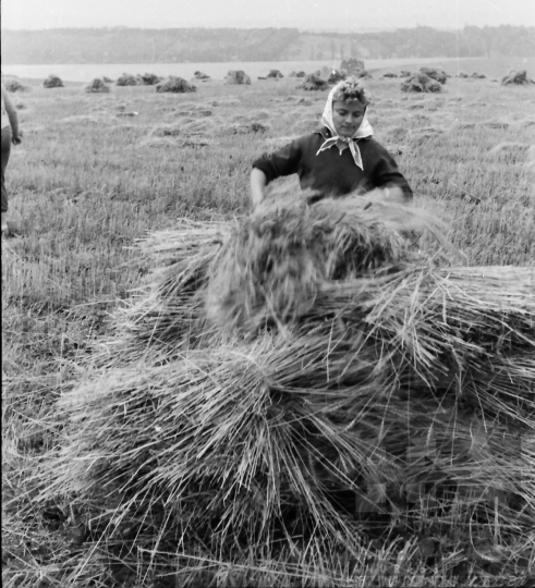 THM-BJ-01451 - Dunaszentgyörgy, South Hungary, 1965