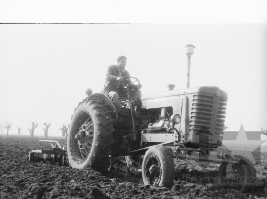 THM-BJ-01453 - Tamási, South Hungary, 1965