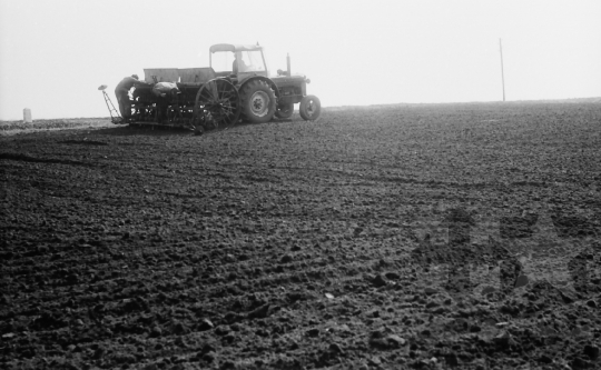 THM-BJ-01455 - Tamási, South Hungary, 1965