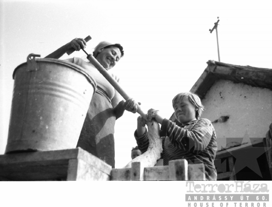 THM-BJ-01486 - Báta, South Hungary, 1966