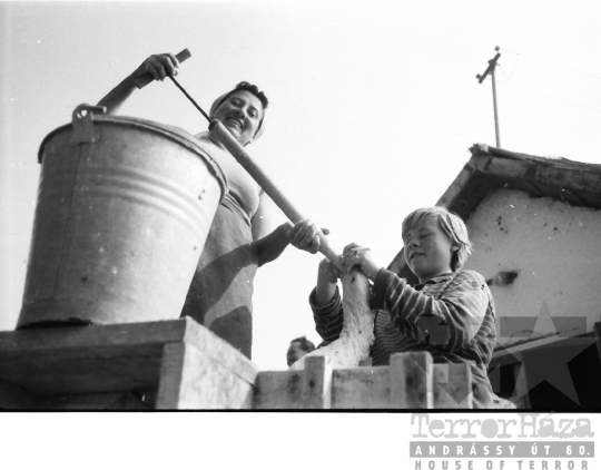 THM-BJ-01486a - Báta, South Hungary, 1966