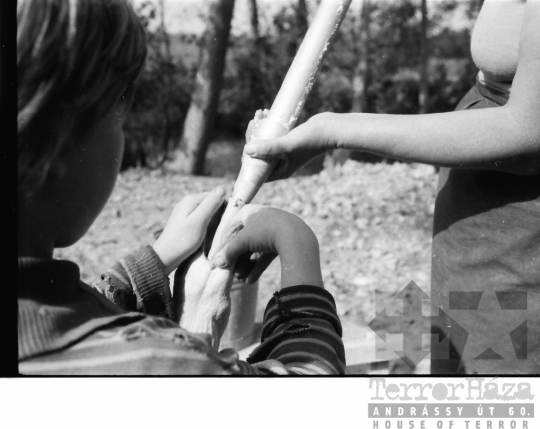 THM-BJ-01488 - Báta, South Hungary, 1966