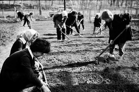 THM-BJ-01509 - Tengelic, South Hungary. 1966