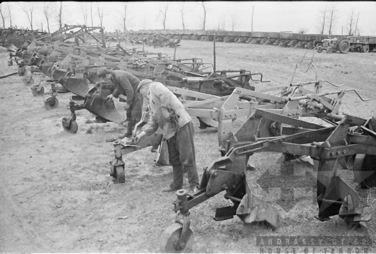 THM-BJ-01519 - Bölcske, South Hungary, 1966